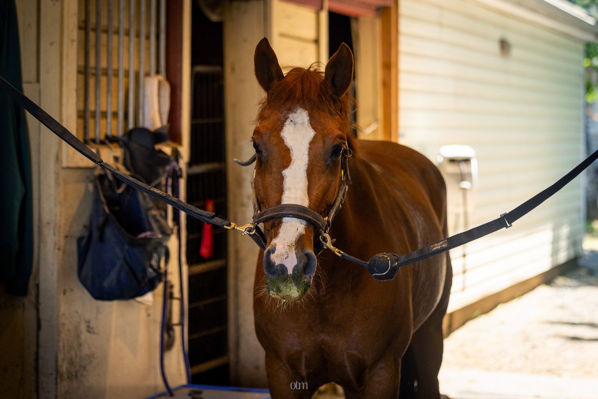 Spacious cross ties and grooming area