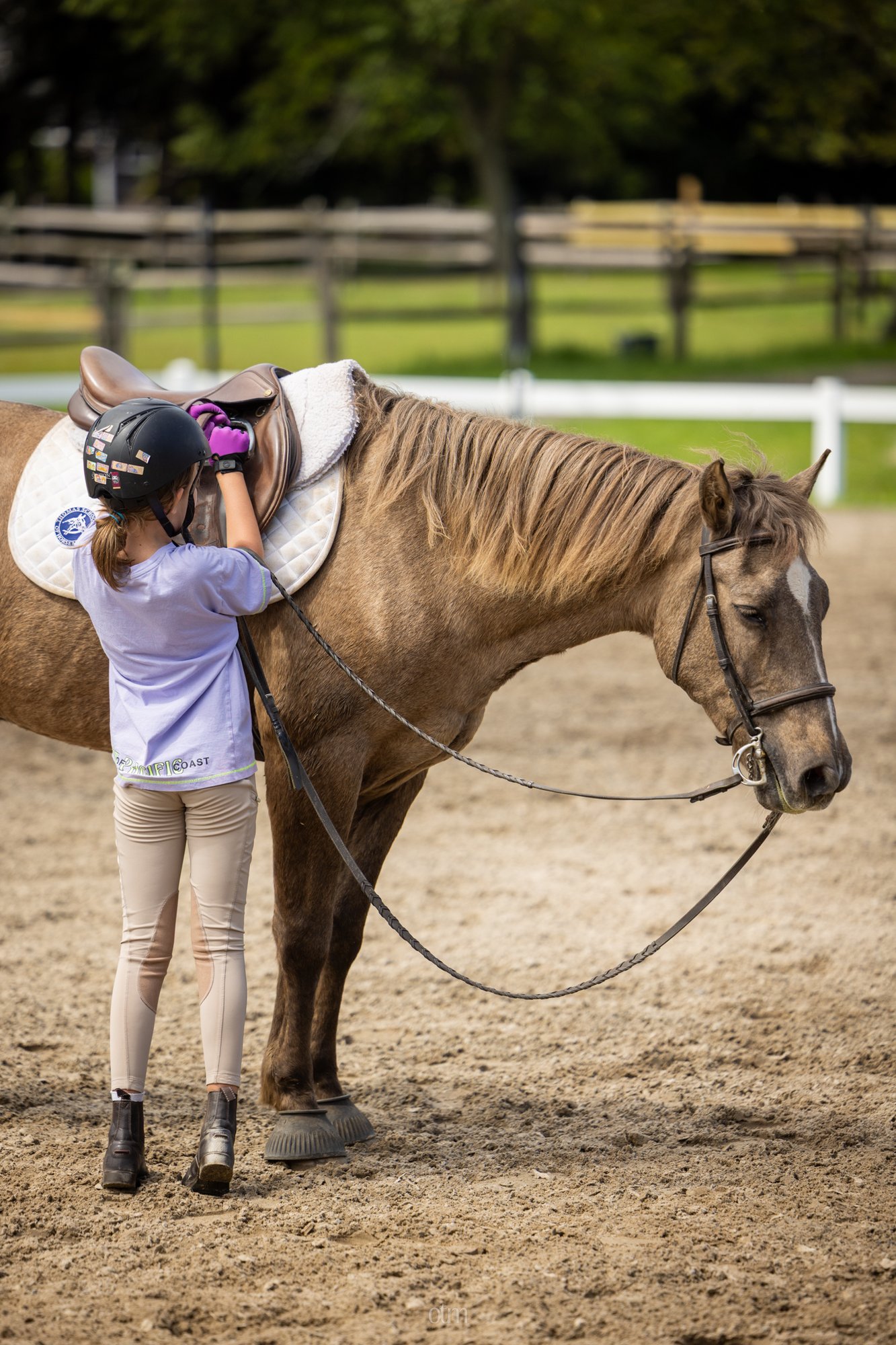 tacking-up-TSH_Sept2026-130